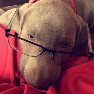 Meet your Posher, Andrew